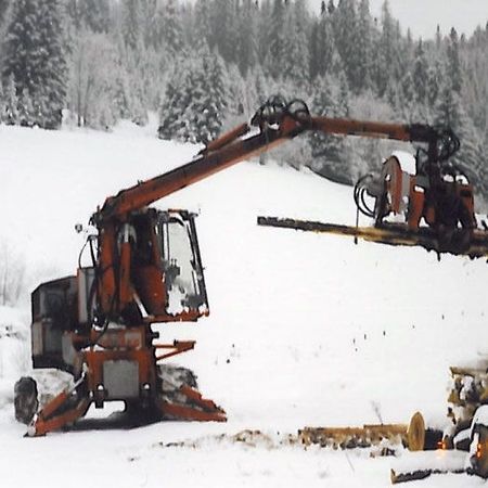 Forstmaschinen, Schwachholzprozessor, KP 40 - Unser Prozessor im Einsatz.