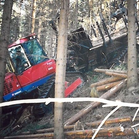 Steilhangforwarder - Die Tests des Raupenforwarders wurden natürlich im eigenen Schlägerungsunternehmen gemacht.